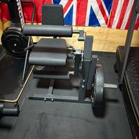 Leg extention/curl