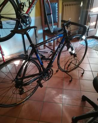 bici da corsa pinarello opera leonardo