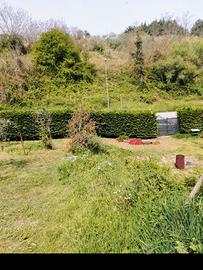 Terreno Agricolo ad Uso Orto e Uliveto pronto