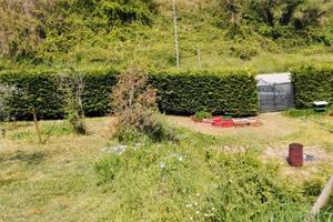 Terreno Agricolo ad Uso Orto e Uliveto pronto