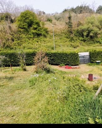 Terreno Agricolo ad Uso Orto e Uliveto pronto