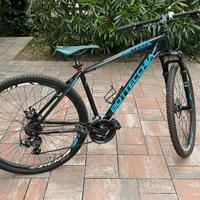MTB 29” Bottecchia 109 pari al nuovo
