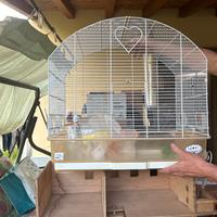 Gabbia per ucellini