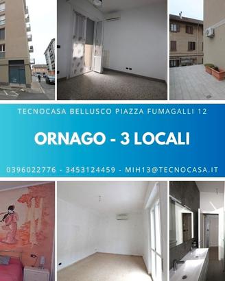 ORNAGO-3 locali ristrutturato