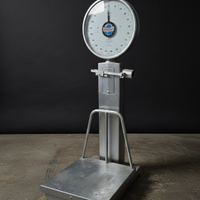 Bilancia Pesapersone/Merce Industriale Vintage