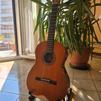 Raimundo mod. 123 - Chitarra Classica