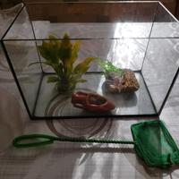 Acquario e accessori 