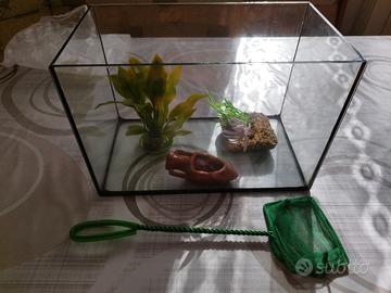 Acquario e accessori 