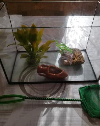 Acquario e accessori 
