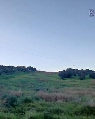 Terreno Agricolo Bagheria [TerM/8VRG]