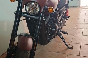 harley davidson street rod