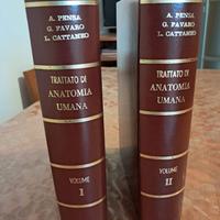 2 volumi di trattato di anatomia