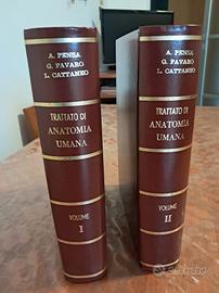 2 volumi di trattato di anatomia