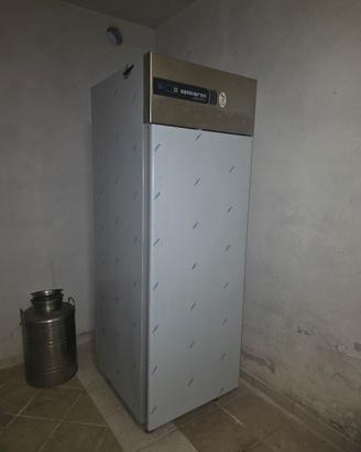 frigo stagionatura