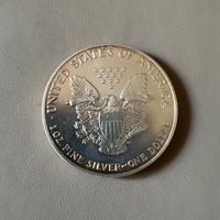 Moneta dollaro silver