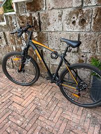 Bici Momo