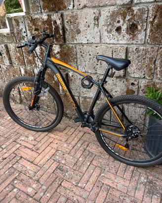 Bici Momo