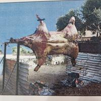 girarrosto professionale 