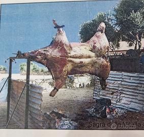 girarrosto professionale 