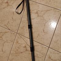 bastone da passeggio