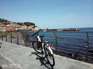Bicicletta elettrica