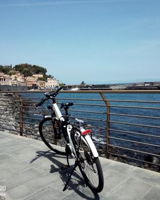 Bicicletta elettrica