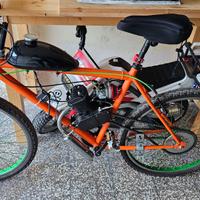 Bicicletta a Motore