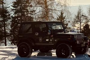 Jeep Wrangler YJ 4.2 ASI