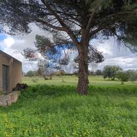 Terreno - Caltagirone