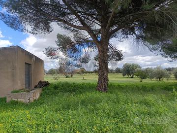 Terreno - Caltagirone