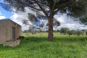 Terreno - Caltagirone