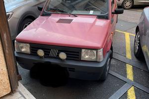 Panda Young 1.100 cc.