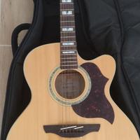 Takamine Jumbo Serie EG523SC