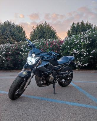 Yamaha XJ6 2009