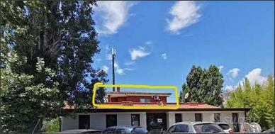 Latina - Rif. ASTA 6361