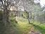 Immagine 23