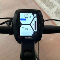 Bici elettrica a pedalata assistita Winora Yucatan