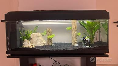 Acquario 100lt