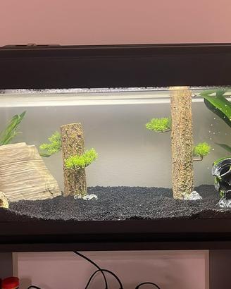 Acquario 100lt