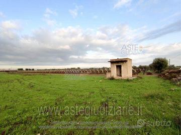 Terreno Agricolo Bari [A4222303]