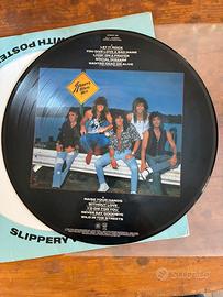 Bon Jovi – Slippery When Wet Picture disc
