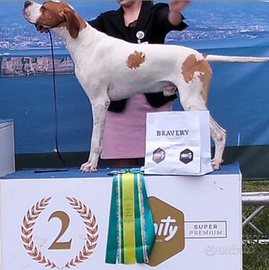 Pointer