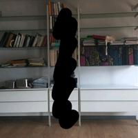 Libreria ikea