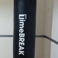 Sacco da boxe pugilato