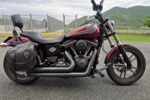 Street Bob 2014