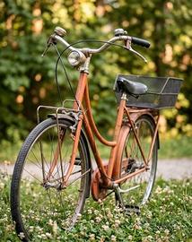 Bicicletta Holland da donna