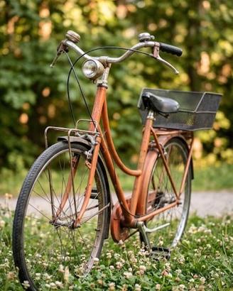 Bicicletta Holland da donna
