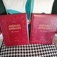 Libri Animali africani  - miti e leggende Burzio