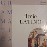 il mio latino grammatica 