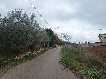 Terreno di 1400 mq edificabile c.da Corvo Nissoria